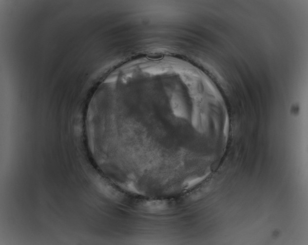 X0000101120353200807172005