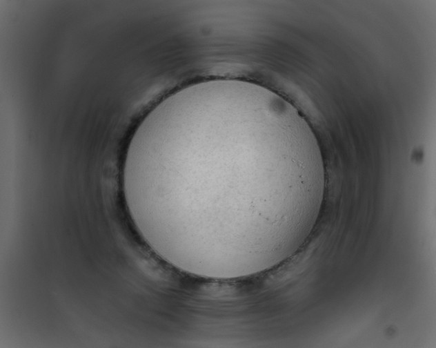 X0000101120354200807172005