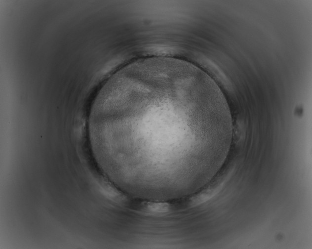 X0000101120355200807172006