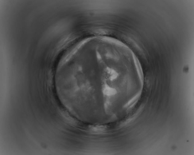 X0000101120359200807172006