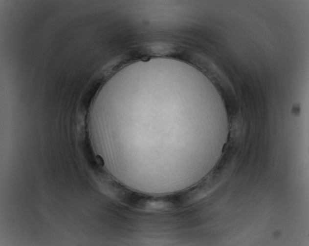 X0000101120360200807172006