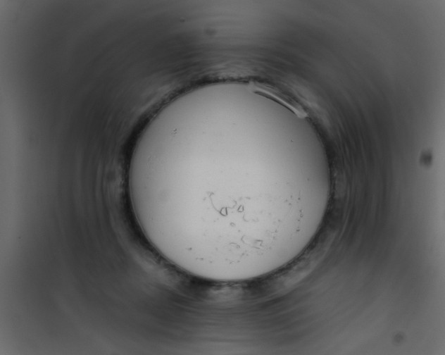 X0000101120362200807172006