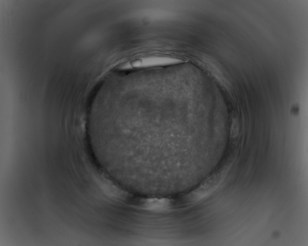 X0000101120363200807172006