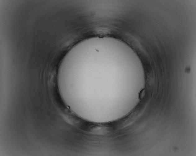 X0000101120364200807172006