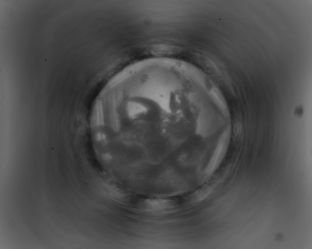 X0000101120367200807172006