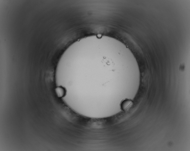X0000101120368200807172006