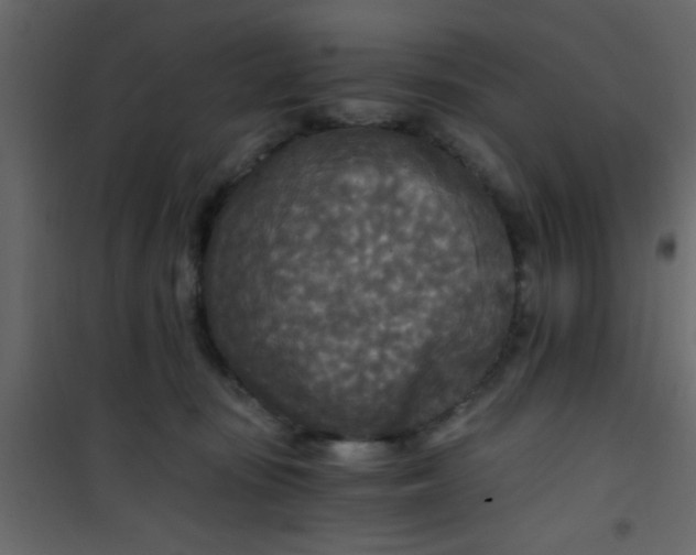 X0000101120371200807172006
