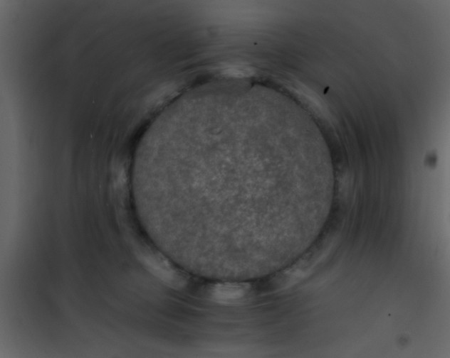 X0000101120373200807172006