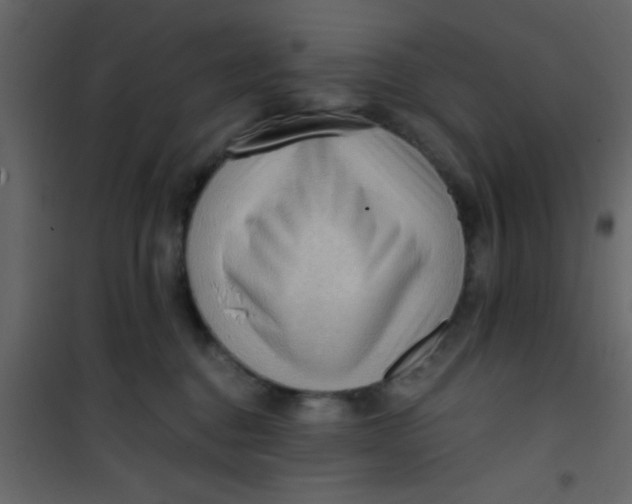 X0000101120376200807172006