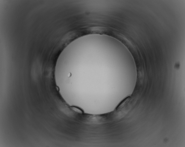 X0000101120379200807172006