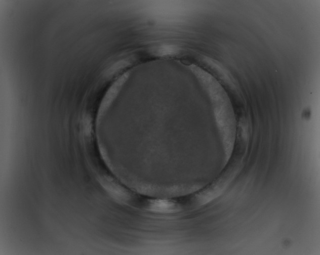 X0000101120380200807172006