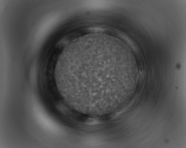 X0000101120381200807172006