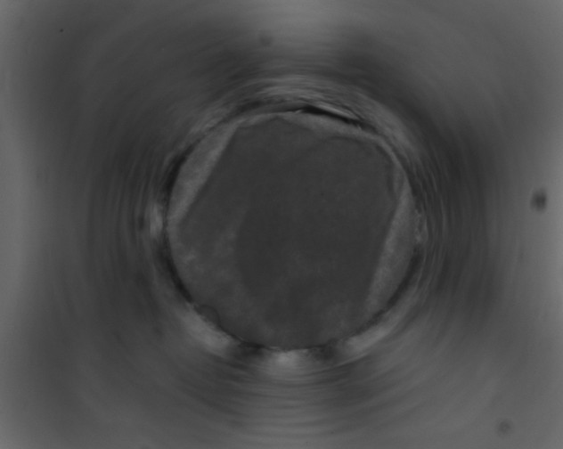 X0000101120382200807172006