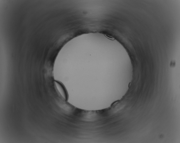 X0000101120384200807172006