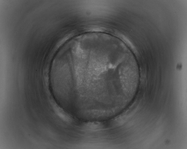 X0000101120386200807172005
