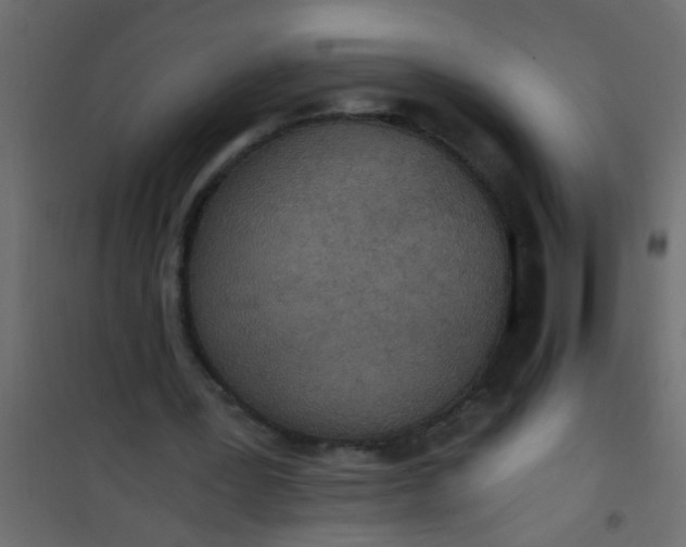 X0000101120387200807172005