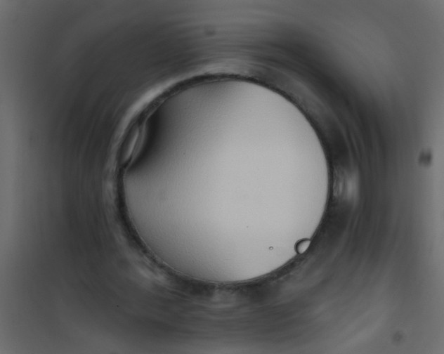 X0000101120388200807172005