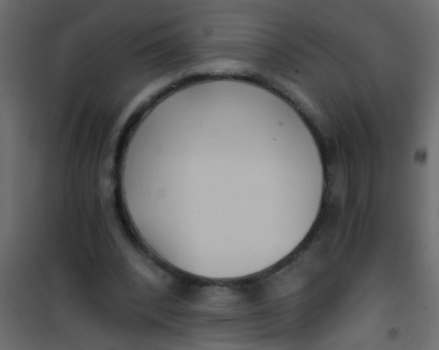 X0000101120392200807172005