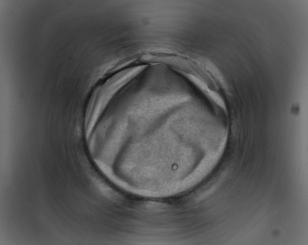 X0000101120393200807172005