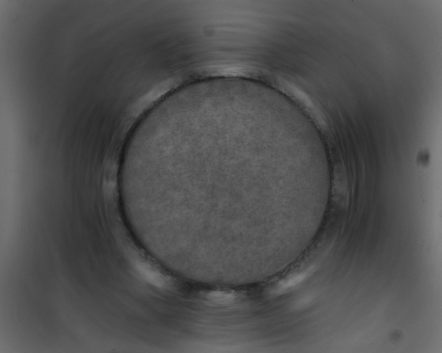 X0000101120394200807172005