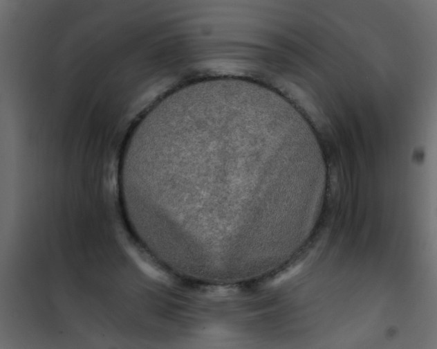 X0000101120398200807172005