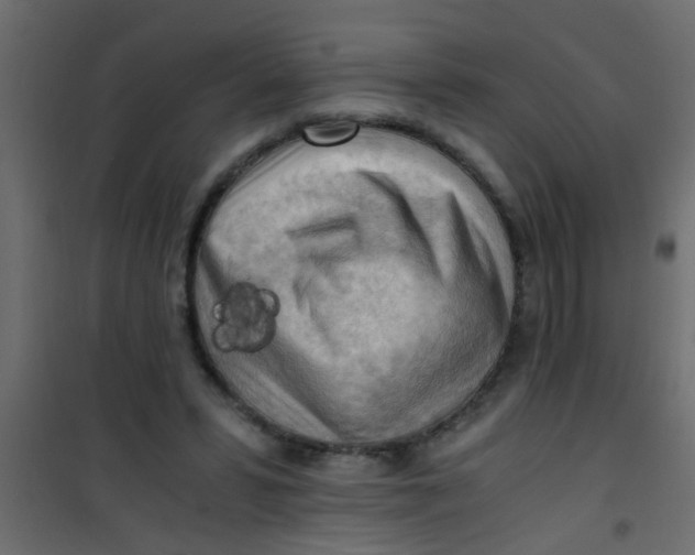 X0000101120399200807172005