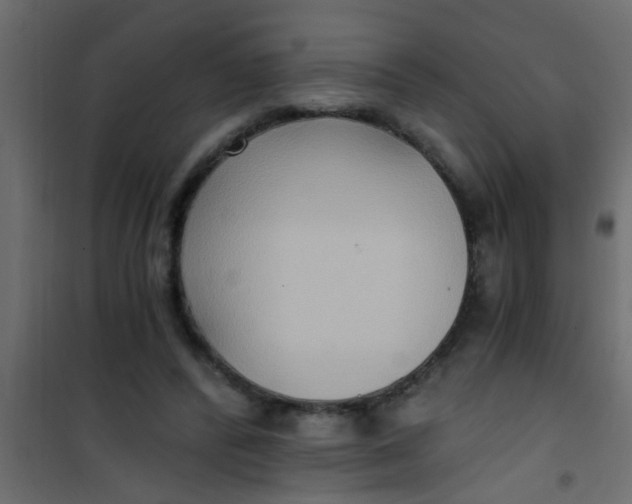 X0000101120400200807172005