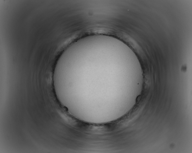 X0000101120401200807172005