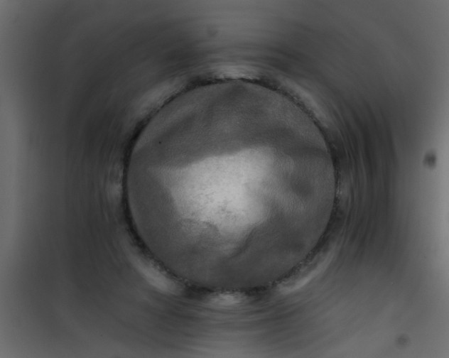 X0000101120402200807172005
