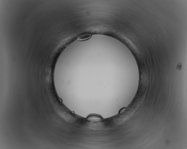 X0000101120403200807172005
