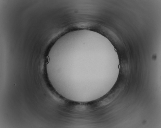 X0000101120404200807172005