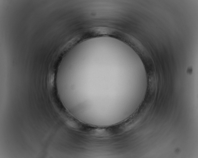 X0000101120406200807172005