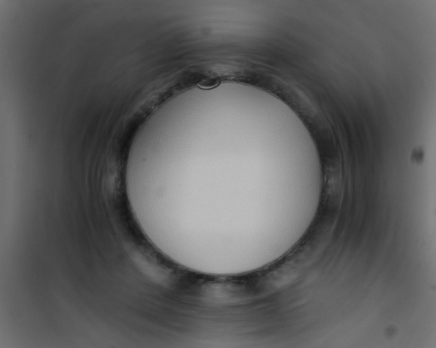 X0000101120408200807172005