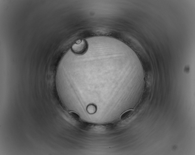 X0000101120409200807172005