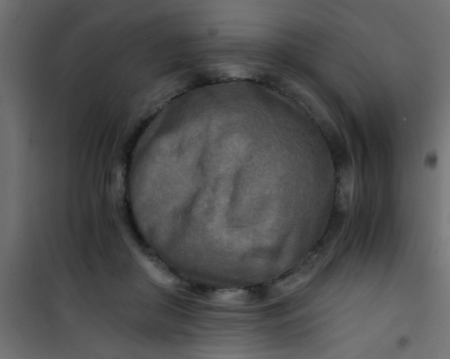 X0000101120410200807172005