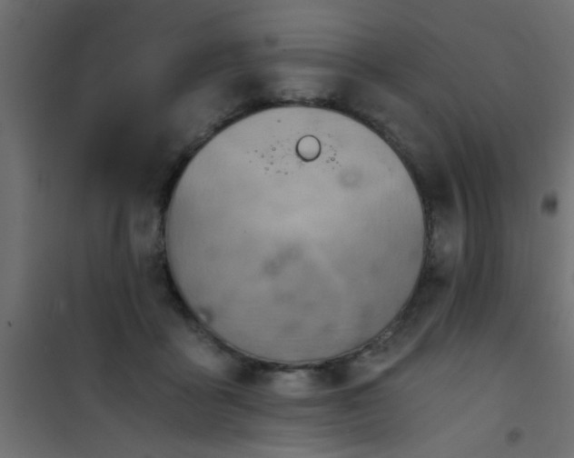 X0000101120411200807172005