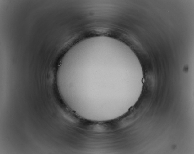 X0000101120412200807172005
