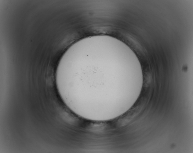 X0000101120414200807172005