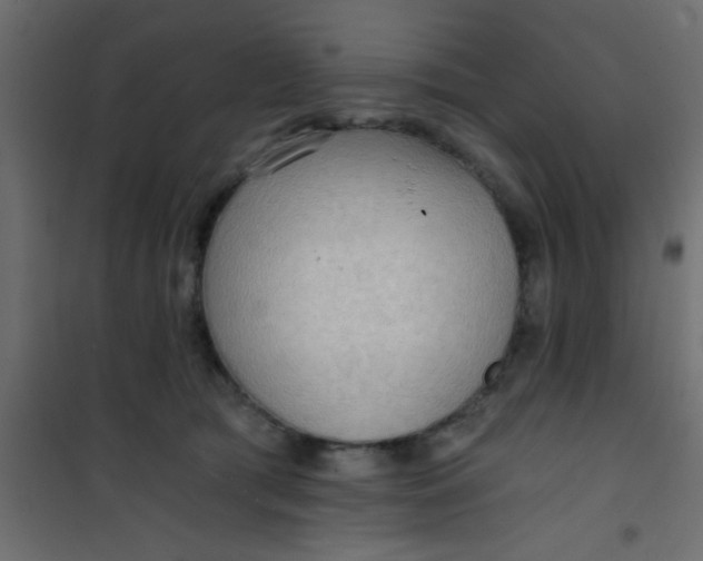 X0000101120417200807172005