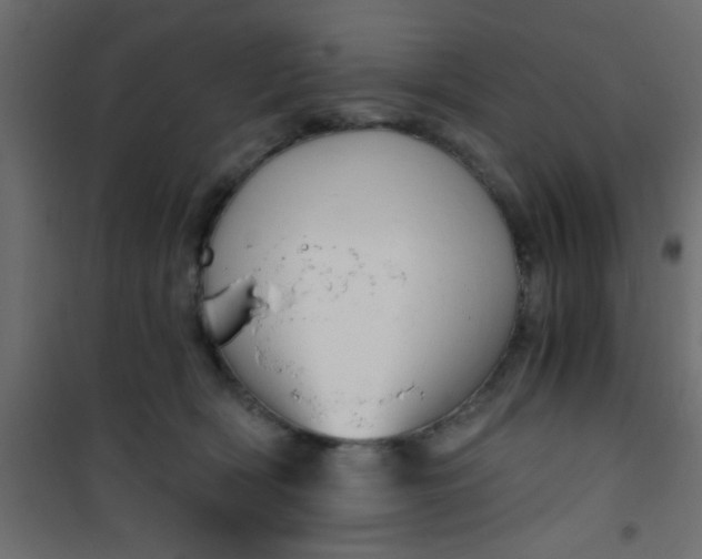 X0000101120418200807172005