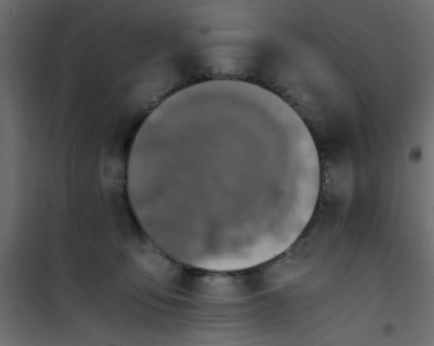 X0000101120419200807172005