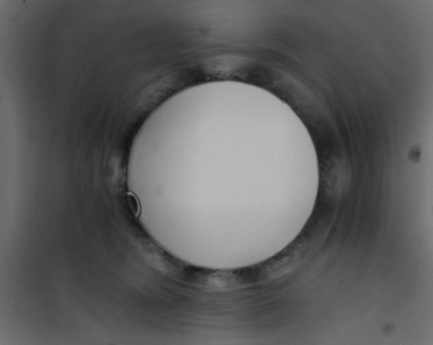 X0000101120420200807172005