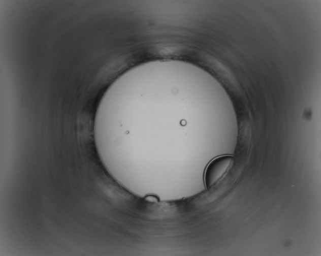 X0000101120421200807172005