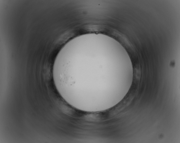 X0000101120422200807172005