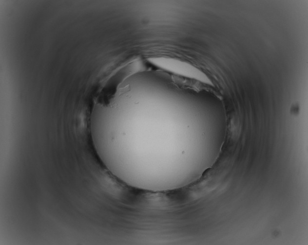 X0000101120424200807172005