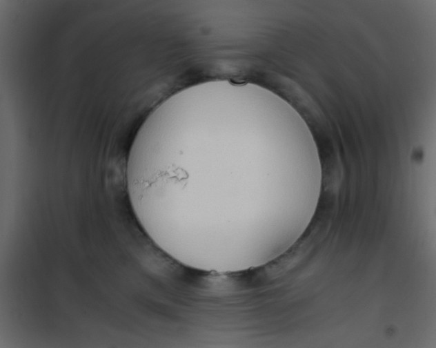 X0000101120425200807172004