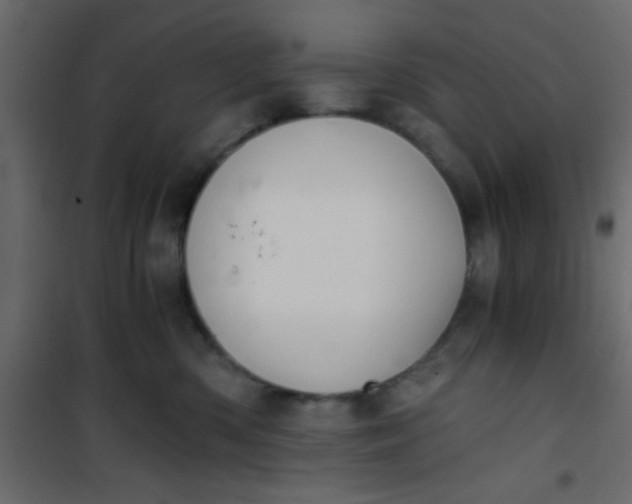 X0000101120426200807172004