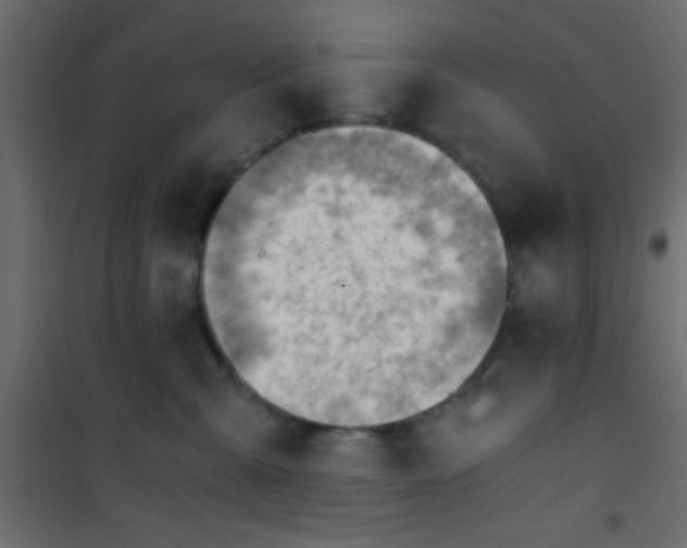 X0000101120427200807172004