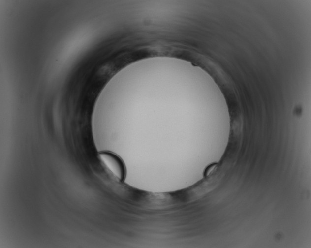 X0000101120429200807172004