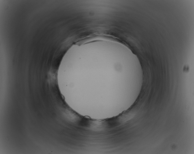 X0000101120432200807172004